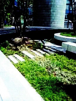 公共性の高い庭園
