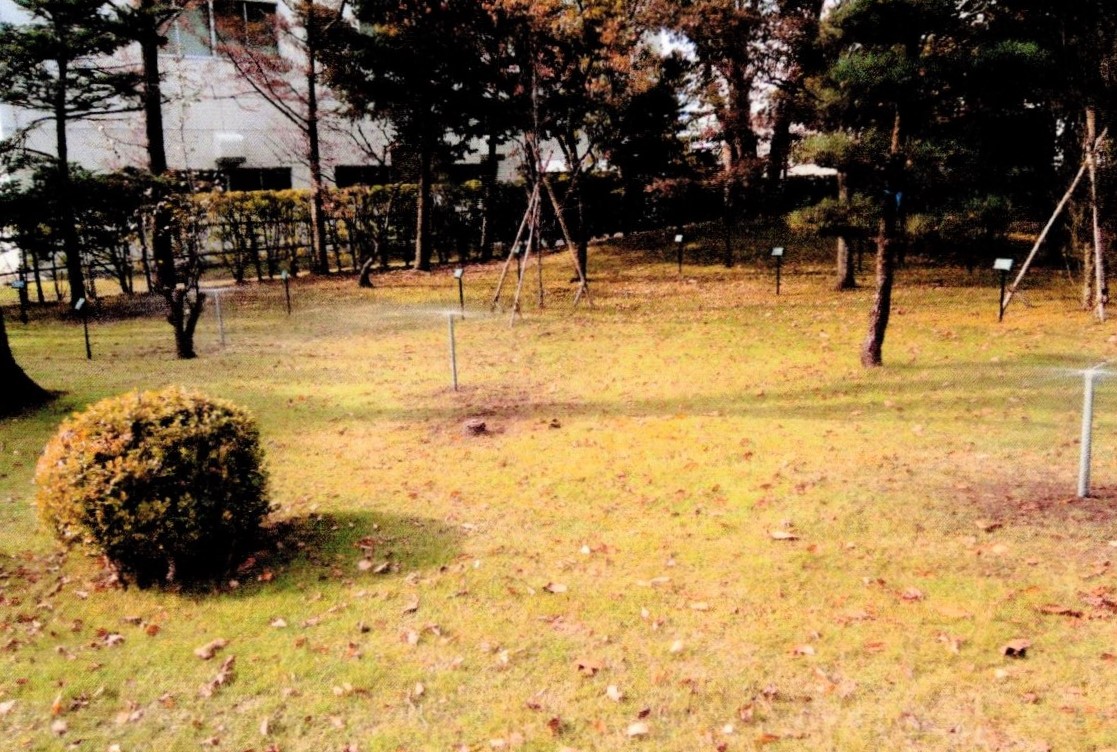 公園